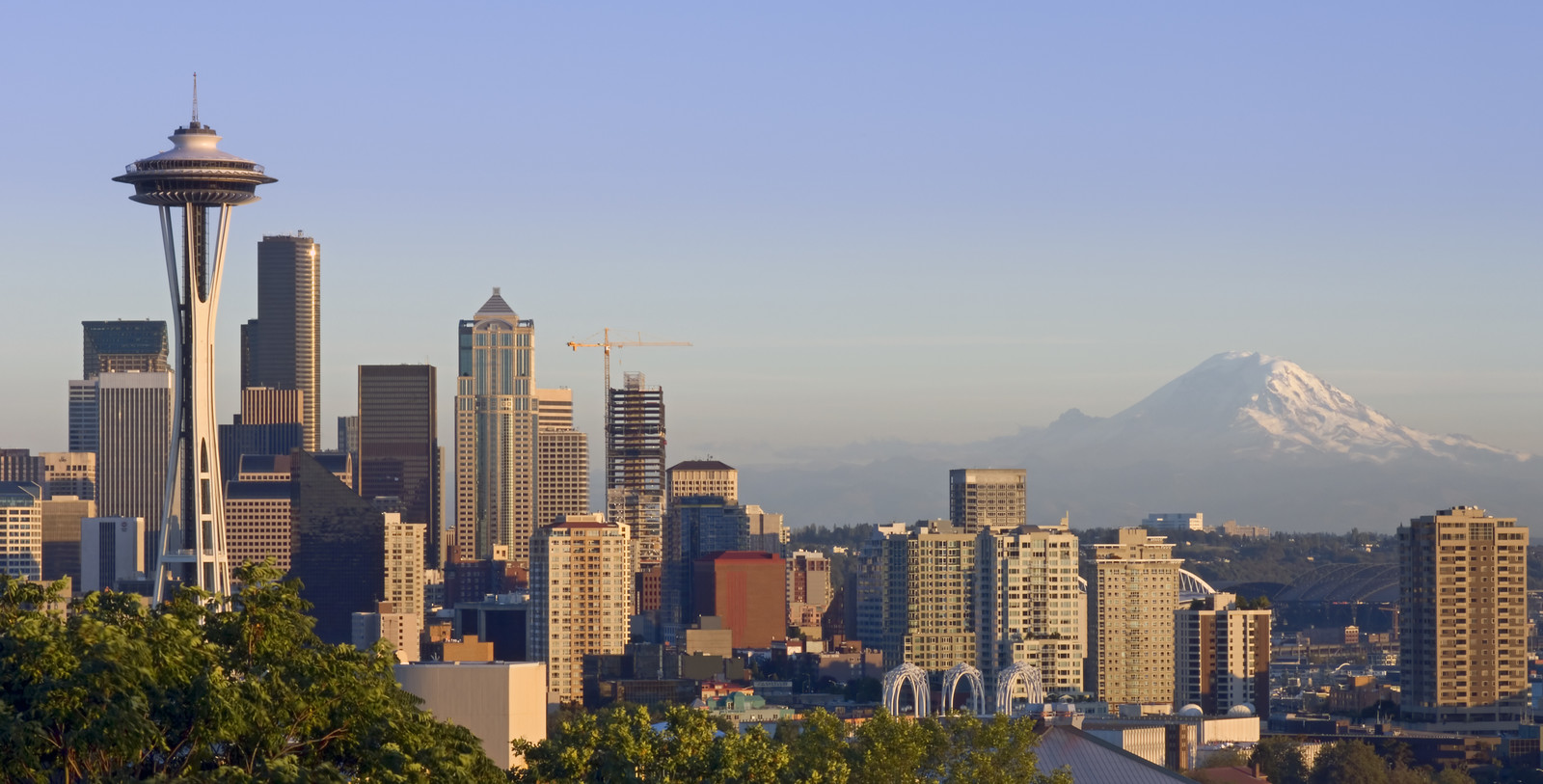 We make moving stress-free, simple, and fast for families and businesses across Seattle, WA