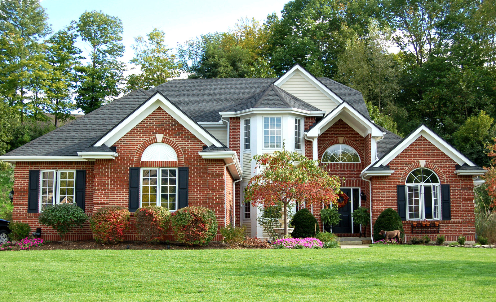 Simple, stress-free, and fast moves for families and businesses across West Bellevue, WA